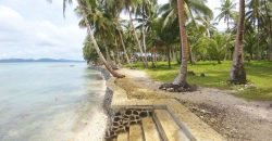 SPECTACULAR BEACHFRONT PROPERTY FOR SALE IN SIARGAO PHILIPPINES