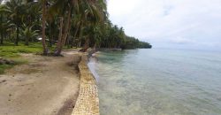 SPECTACULAR BEACHFRONT PROPERTY FOR SALE IN SIARGAO PHILIPPINES