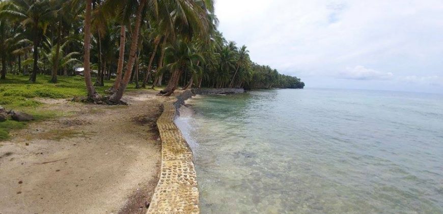 SPECTACULAR BEACHFRONT PROPERTY FOR SALE IN SIARGAO PHILIPPINES