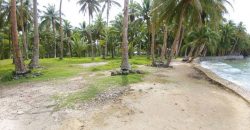 SPECTACULAR BEACHFRONT PROPERTY FOR SALE IN SIARGAO PHILIPPINES