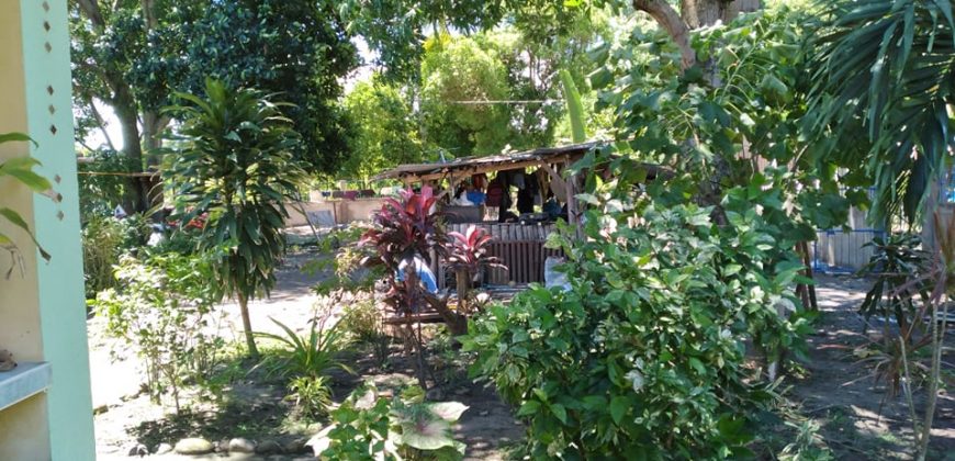 HOUSE & LOT NEAR THE BEACH