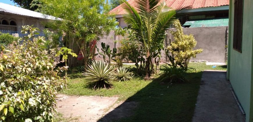 HOUSE & LOT NEAR THE BEACH