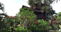 TREE HOUSE FOR RENT IN DAUIN