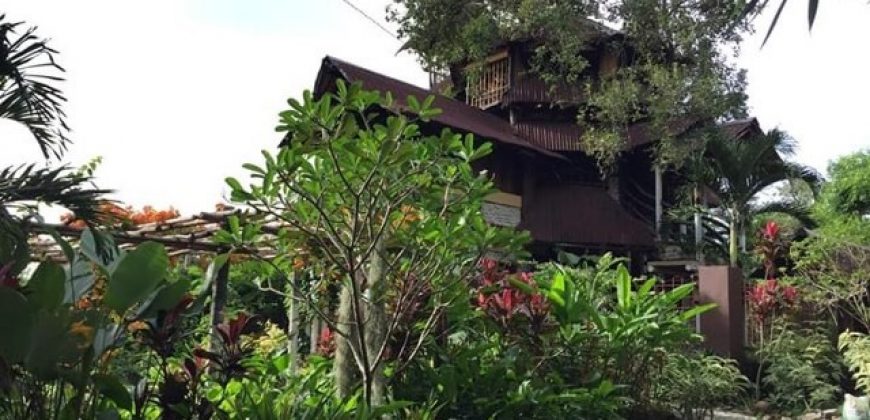 TREE HOUSE FOR RENT IN DAUIN