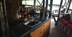 TREE HOUSE FOR RENT IN DAUIN