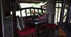 TREE HOUSE FOR RENT IN DAUIN