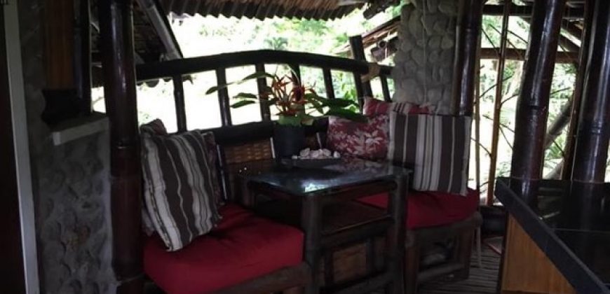 TREE HOUSE FOR RENT IN DAUIN