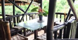 TREE HOUSE FOR RENT IN DAUIN