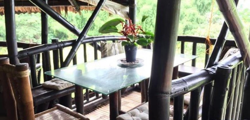 TREE HOUSE FOR RENT IN DAUIN