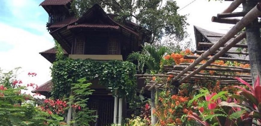 TREE HOUSE FOR RENT IN DAUIN