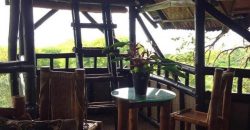 TREE HOUSE FOR RENT IN DAUIN