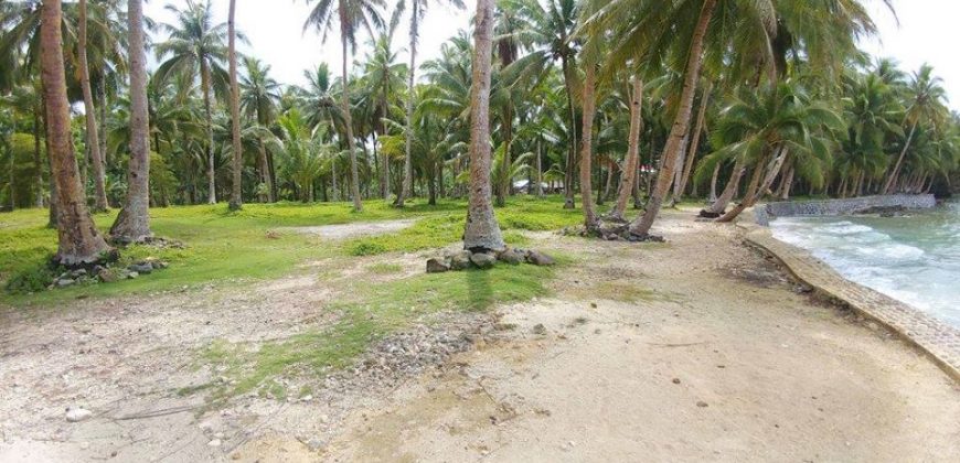 SPECTACULAR BEACHFRONT PROPERTY FOR SALE IN SIARGAO PHILIPPINES