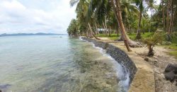 SPECTACULAR BEACHFRONT PROPERTY FOR SALE IN SIARGAO PHILIPPINES