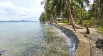 SPECTACULAR BEACHFRONT PROPERTY FOR SALE IN SIARGAO PHILIPPINES