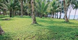 SPECTACULAR BEACHFRONT PROPERTY FOR SALE IN SIARGAO PHILIPPINES