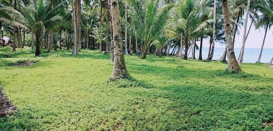 SPECTACULAR BEACHFRONT PROPERTY FOR SALE IN SIARGAO PHILIPPINES