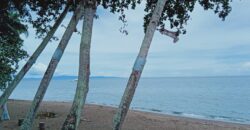 AVAILABLE NOW –   BIG BEACH HOUSE FOR RENT IN DAUIN ‼️