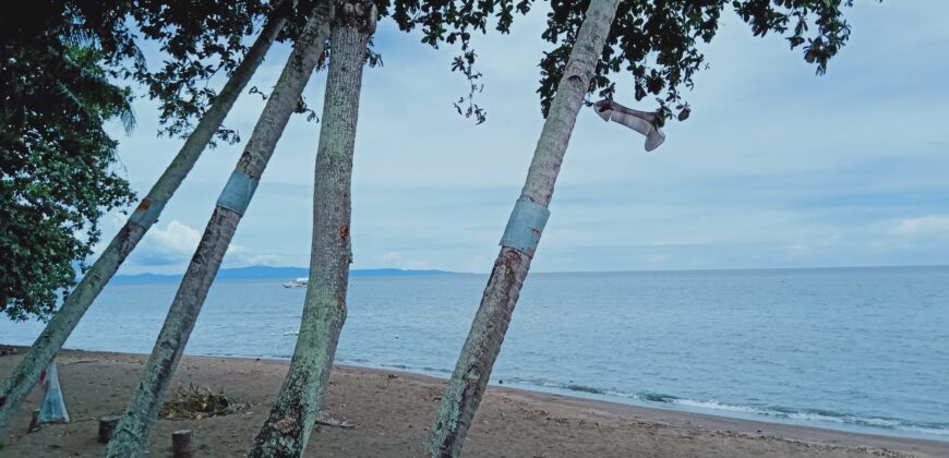 AVAILABLE NOW –   BIG BEACH HOUSE FOR RENT IN DAUIN ‼️