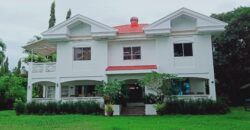 AVAILABLE NOW –   BIG BEACH HOUSE FOR RENT IN DAUIN ‼️