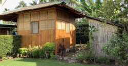 HOUSE & LOT with SWIMMING POOL   – S O L D –