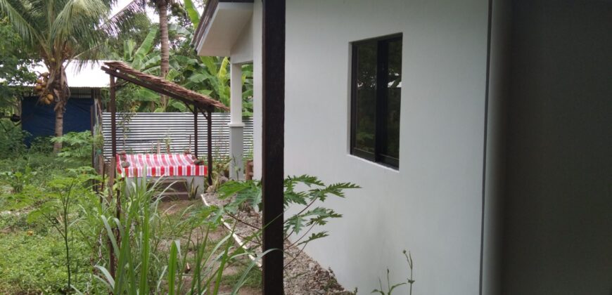 RENTAL HOUSE IN DAUIN