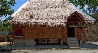 NATIVE SMALL NIPA HOUSE FOR RENT IN DAUIN
