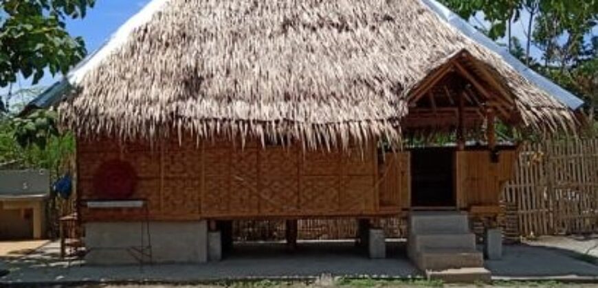 NATIVE SMALL NIPA HOUSE FOR RENT IN DAUIN