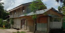 HOUSE WITH RENTAL APARTMENTS IN MABINAY