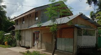 HOUSE WITH RENTAL APARTMENTS IN MABINAY