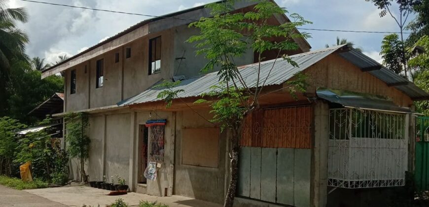 HOUSE WITH RENTAL APARTMENTS IN MABINAY