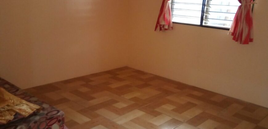 NEW RENTAL HOUSE IN DAUIN  – Under Contract –