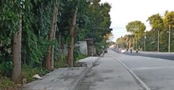 HIGHWAY LOT FOR SALE IN DAUIN