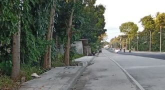 HIGHWAY LOT FOR SALE IN DAUIN