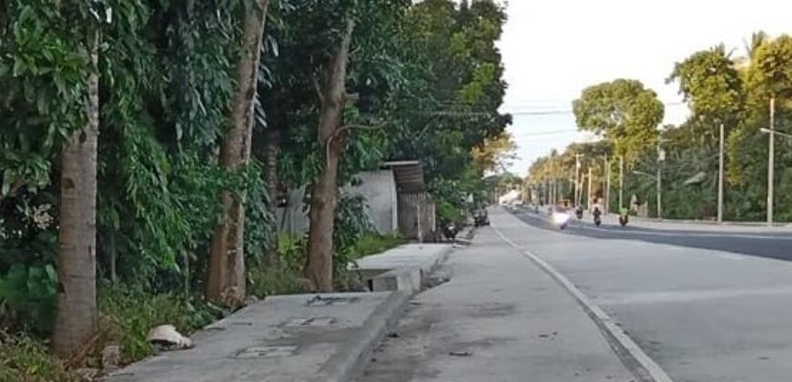 HIGHWAY LOT FOR SALE IN DAUIN