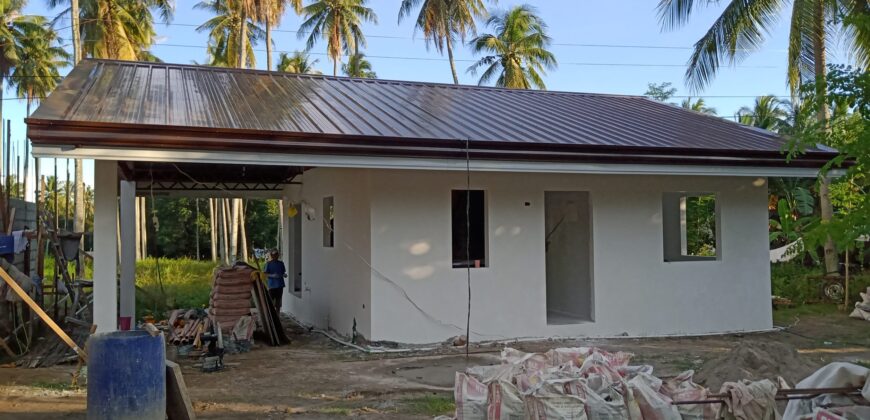 NEW CONSTRUCTION HOME  S O L D !