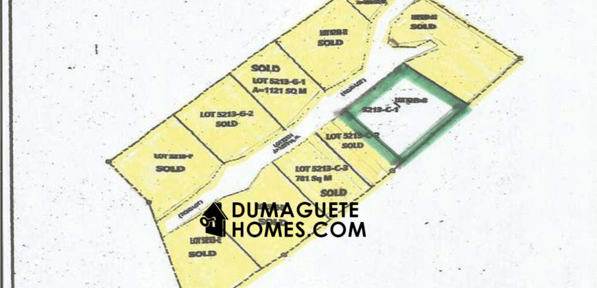 MOUNTAIN VIEW ESTATE BUILDING LOT IN DAUIN  – S O L  D –