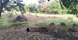 MOUNTAIN VIEW ESTATE BUILDING LOT IN DAUIN  – S O L  D –