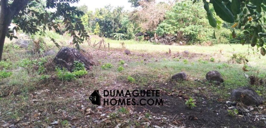 MOUNTAIN VIEW ESTATE BUILDING LOT IN DAUIN  – S O L  D –