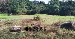 MOUNTAIN VIEW ESTATE BUILDING LOT IN DAUIN  – S O L  D –