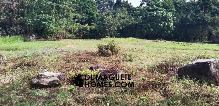 MOUNTAIN VIEW ESTATE BUILDING LOT IN DAUIN  – S O L  D –