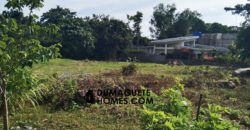 MOUNTAIN VIEW ESTATE BUILDING LOT IN DAUIN  – S O L  D –