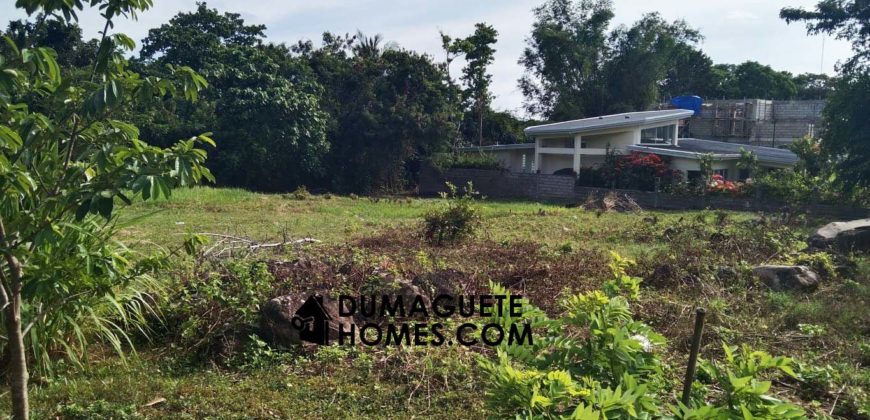 MOUNTAIN VIEW ESTATE BUILDING LOT IN DAUIN  – S O L  D –