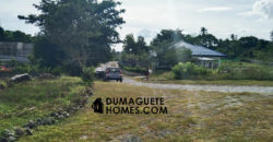 MOUNTAIN VIEW ESTATE BUILDING LOT IN DAUIN  – S O L  D –