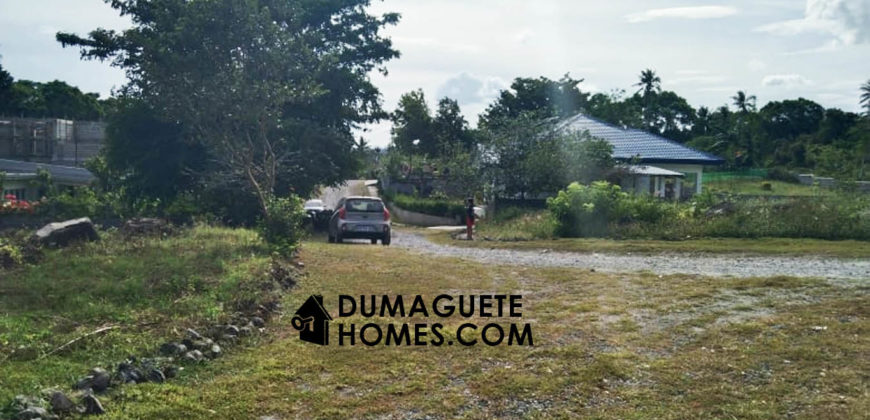 MOUNTAIN VIEW ESTATE BUILDING LOT IN DAUIN  – S O L  D –