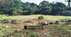 MOUNTAIN VIEW ESTATE BUILDING LOT IN DAUIN  – S O L  D –