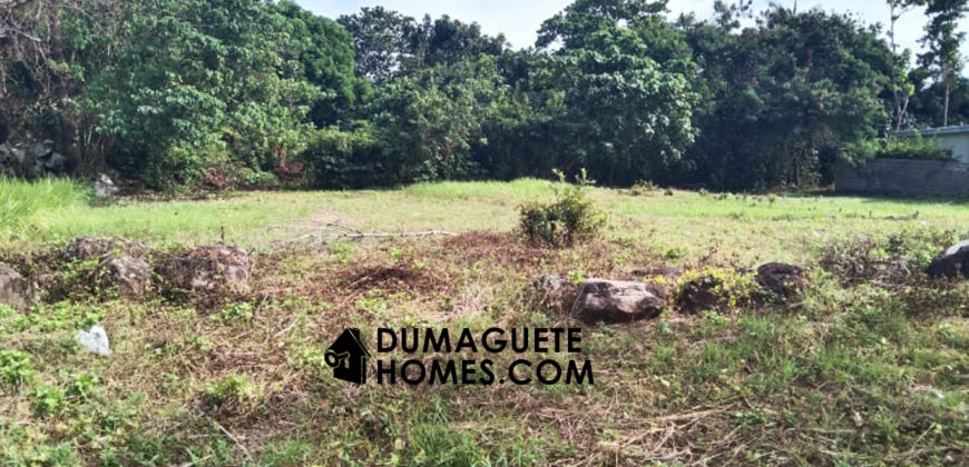 MOUNTAIN VIEW ESTATE BUILDING LOT IN DAUIN  – S O L  D –