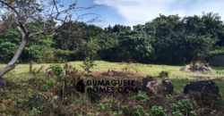 MOUNTAIN VIEW ESTATE BUILDING LOT IN DAUIN  – S O L  D –