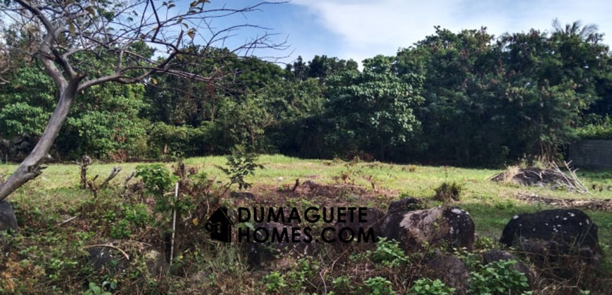 MOUNTAIN VIEW ESTATE BUILDING LOT IN DAUIN  – S O L  D –