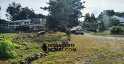 MOUNTAIN VIEW ESTATE BUILDING LOT IN DAUIN  – S O L  D –