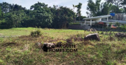 MOUNTAIN VIEW ESTATE BUILDING LOT IN DAUIN  – S O L  D –